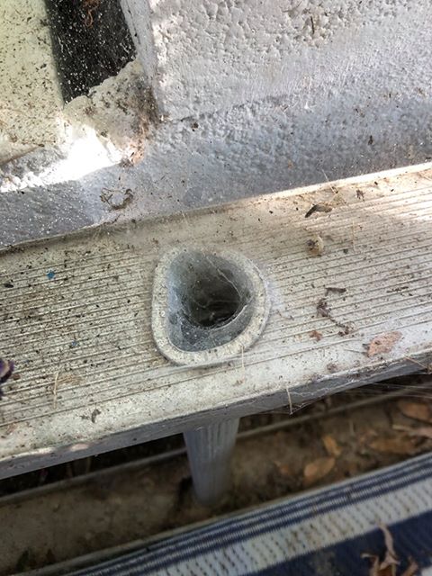 ladder dude Julie Travaglini